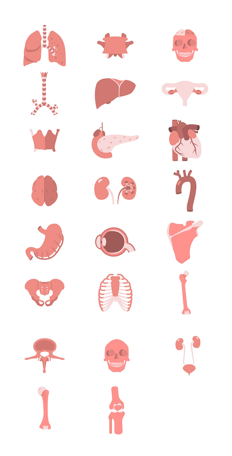 23枚人体解剖学图标，AI源文件 图标素材 第1张