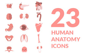 23枚人体解剖学图标，AI源文件