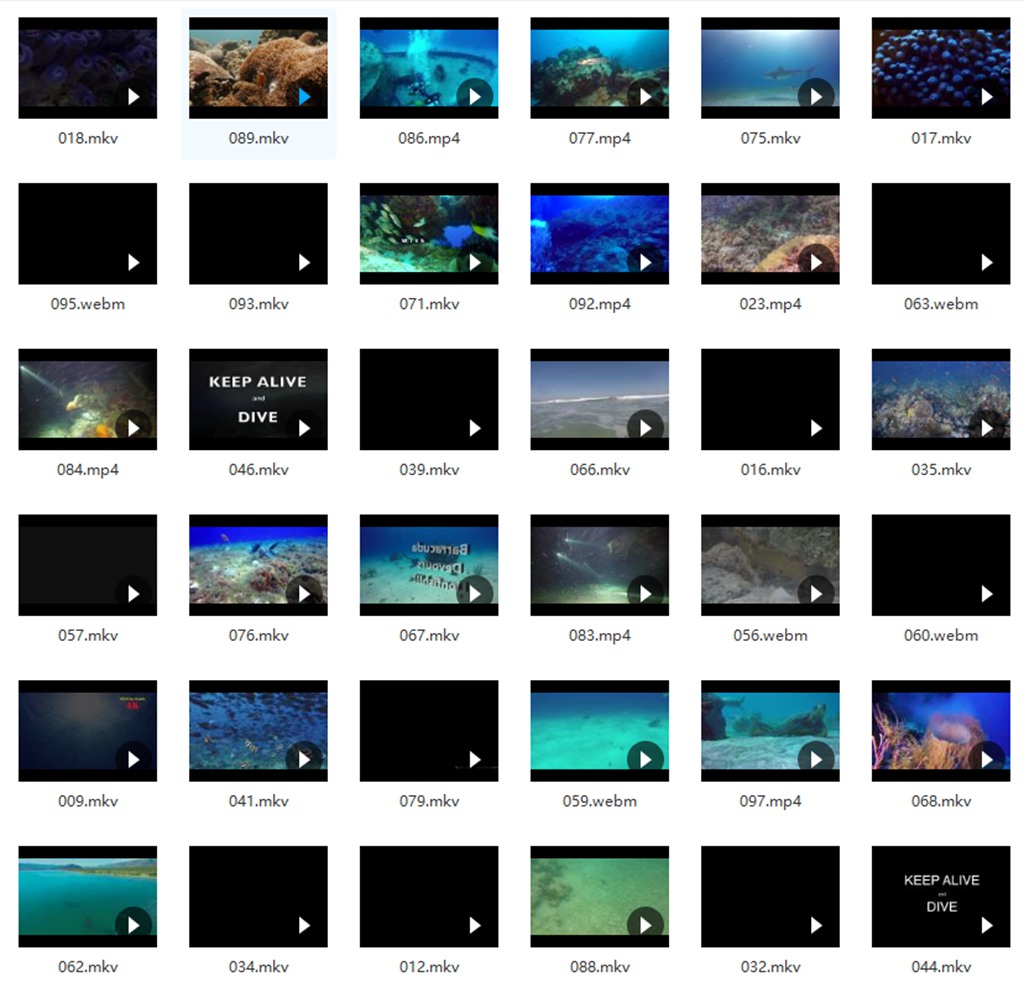 抖音素材-海底风景视频素材 短视频素材 第1张