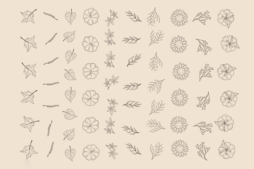 Procreate笔刷-秋季花朵树叶效果印章笔刷素材资源 笔刷插件 第6张
