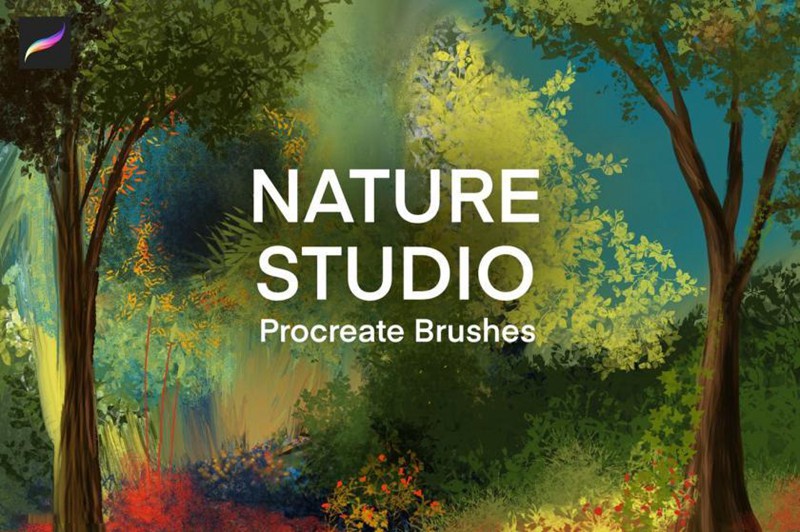 Procreate笔刷-植物树叶自然风景画笔刷素材资源 笔刷资源 第1张