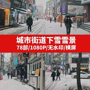 城市街道下雪雪景视频素材