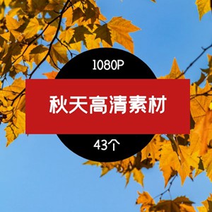 秋天+落叶树木高清风景素材-3