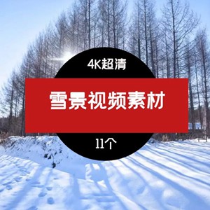 高清4K雪景视频素材04