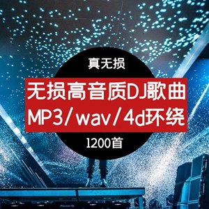 抖音真无损DJ夜店歌曲mp3