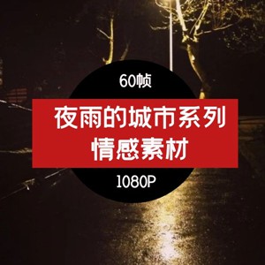 夜雨中的城市 抖音视频素材高清MEI-05
