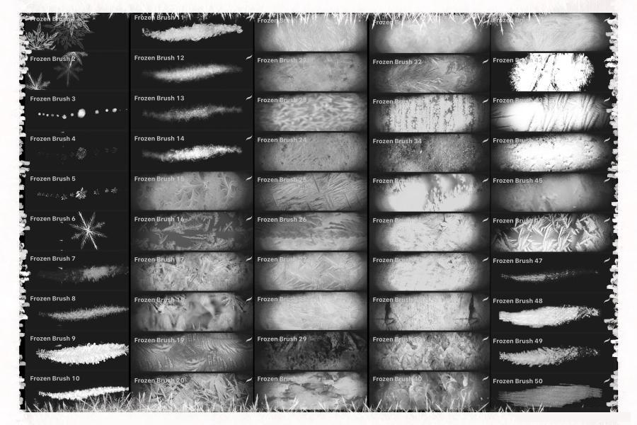 Procreate笔刷-冬季雪花霜花大雪冻结效果笔刷素材 笔刷资源 第6张
