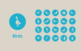 20枚鸟类矢量图标，AI PNG格式