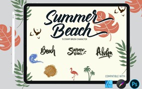 笔刷资源-卡通手绘夏季海滩海浪度假主题图案ps和procreate笔刷素材