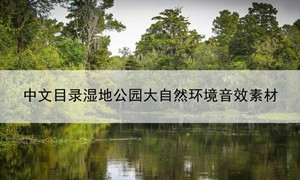 中文目录水流沼泽湿地公园大自然环境音效素材 Eastern European Wetlands