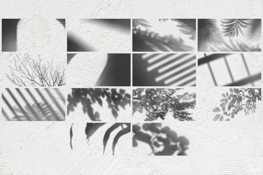 背景素材-树枝树叶图案的自然光影合成叠加素材 图片素材 第9张