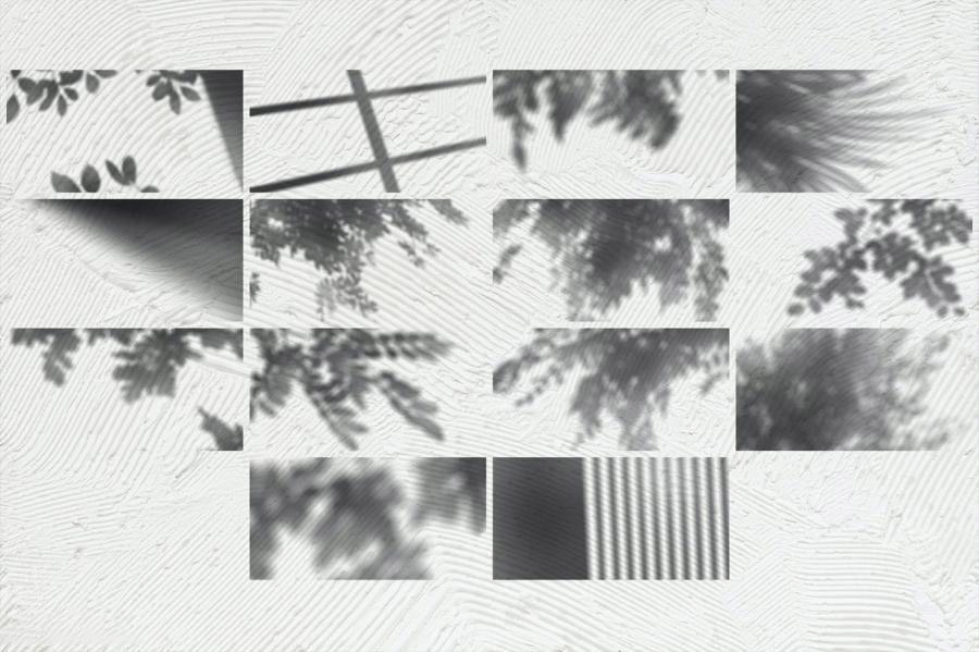背景素材-树枝树叶图案的自然光影合成叠加素材 图片素材 第2张