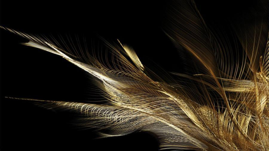 背景素材-金色羽毛背景图片素材 图片素材 第4张
