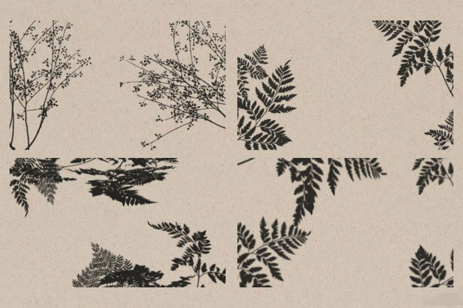背景素材-树枝树叶图案的自然光影合成叠加素材 图片素材 第4张
