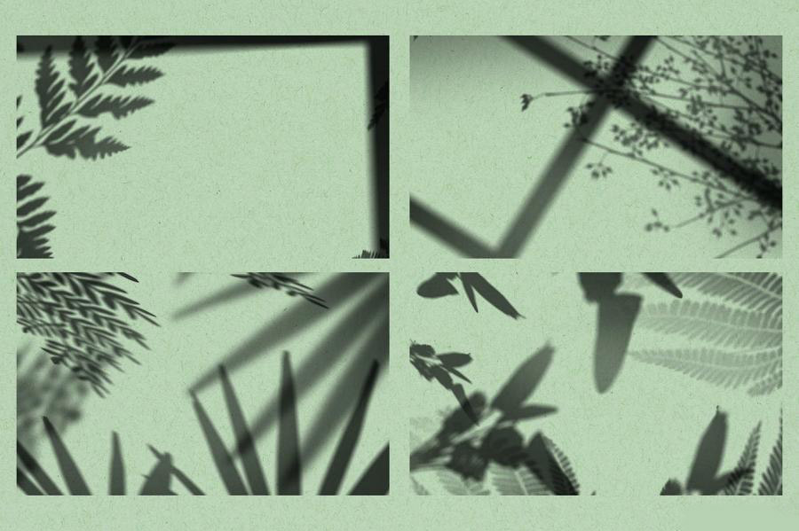 背景素材-树枝树叶图案的自然光影合成叠加素材 图片素材 第7张