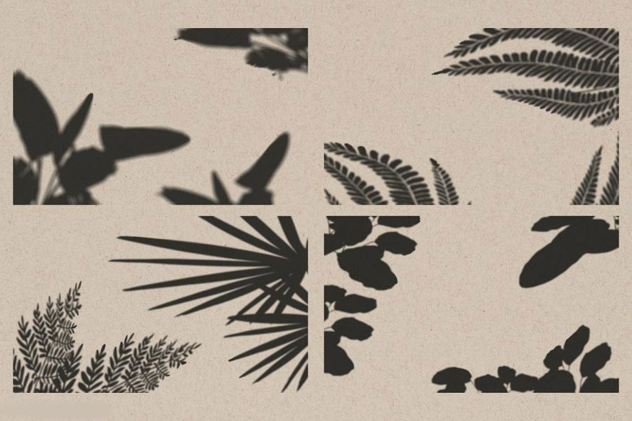 背景素材-树枝树叶图案的自然光影合成叠加素材 图片素材 第5张
