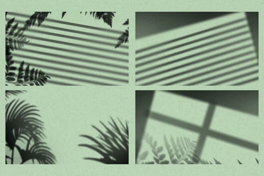 背景素材-树枝树叶图案的自然光影合成叠加素材 图片素材 第6张