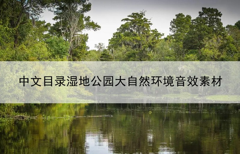 中文目录水流沼泽湿地公园大自然环境音效素材 Eastern European Wetlands 短视频素材 第1张