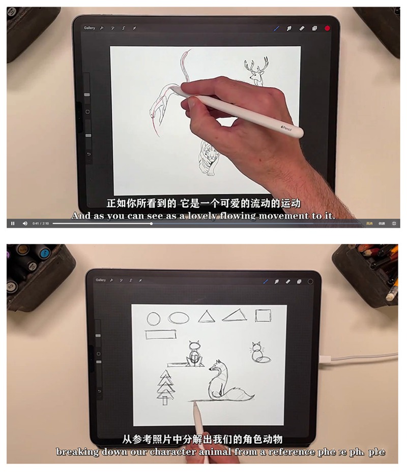 ipad动物姿势绘画教程，跟着大师学插画 设计教程 第6张