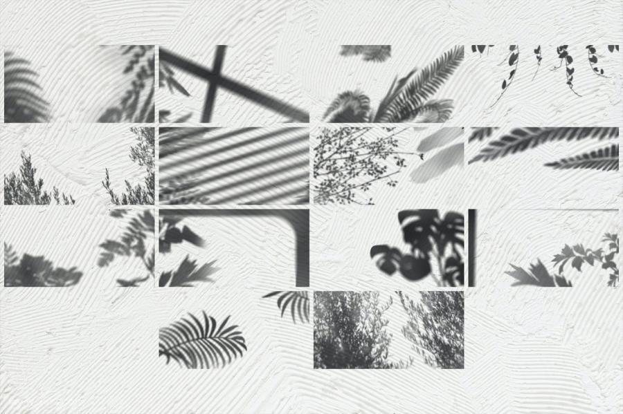 背景素材-树枝树叶图案的自然光影合成叠加素材 图片素材 第8张
