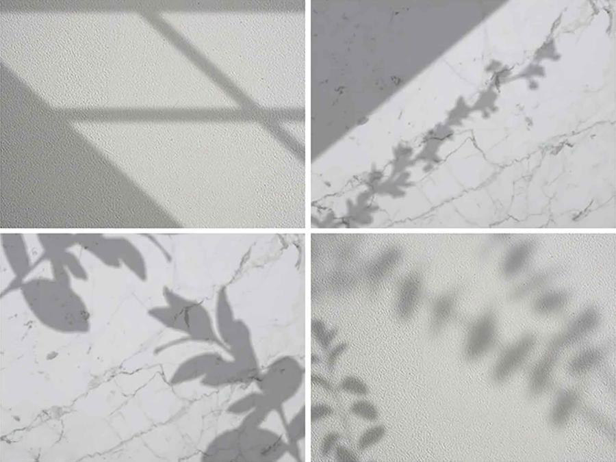 背景素材-花卉光影叠加纹理图片素材（PSD, PNG） 图片素材 第1张