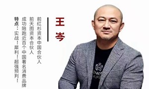 博商小麦-王岑：新消费品牌增长方法与案例（爆款视频课）