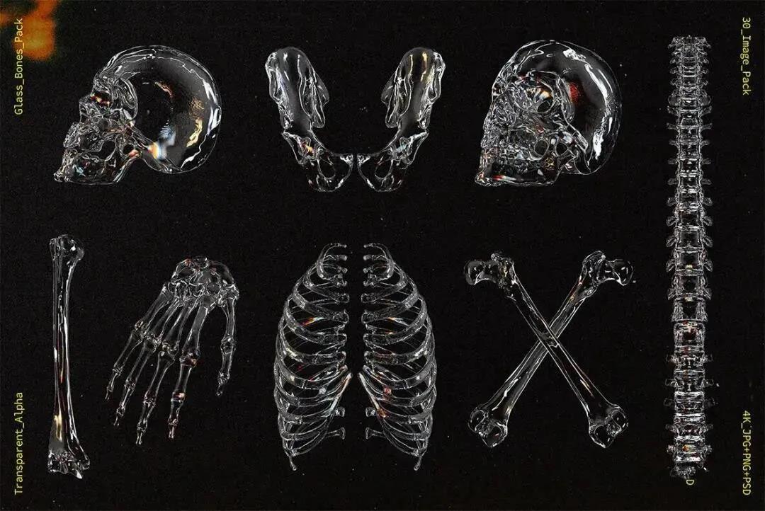 潮流炫酷人体骨骼素材+透明液体气泡素材+网格线条平面立体透视AI素材 图片素材 第3张