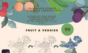 Procreate笔刷-水果蔬菜线稿插画图案笔刷素材