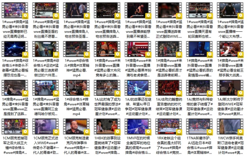 320个WWE短视频素材(12G) 短视频素材 第2张