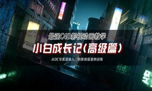 UTV小白成长记高級篇2022年【画质高清有素材】