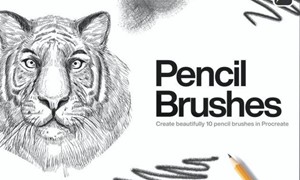 Procreate笔刷-10款铅笔画笔素描笔刷素材