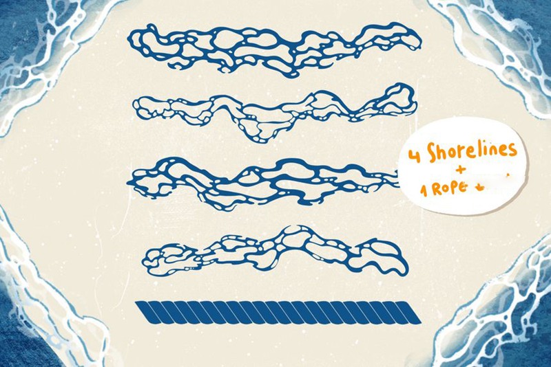 Procreate笔刷-贝壳海藻珊瑚线稿图案纹理笔刷素材 笔刷资源 第8张