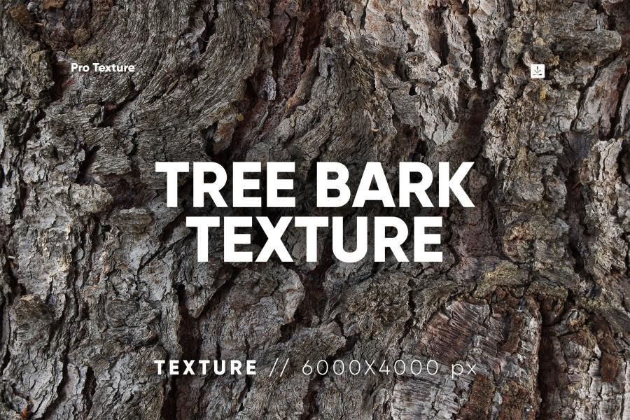 背景素材-裂缝树干树皮特殊材质纹理背景图片PNG素材 图片素材 第1张