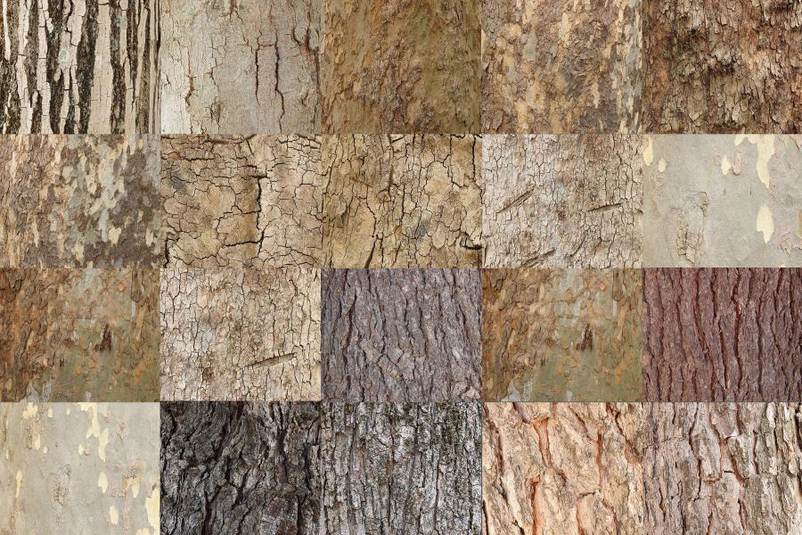 背景素材-裂缝树干树皮特殊材质纹理背景图片PNG素材 图片素材 第2张