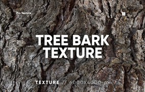 背景素材-裂缝树干树皮特殊材质纹理背景图片PNG素材