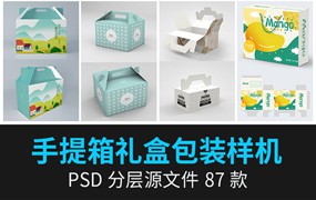 87款礼盒手提箱卡扣纸箱五谷干果水果包装箱子VI提案样机PSD设计素材