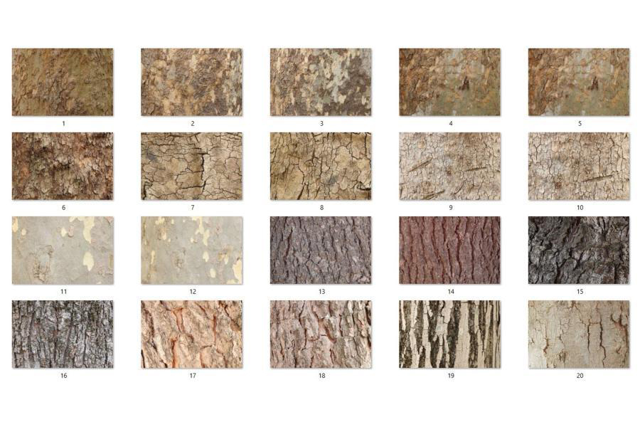 背景素材-裂缝树干树皮特殊材质纹理背景图片PNG素材 图片素材 第3张