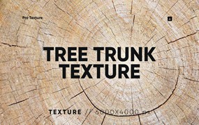 背景素材-20款树墩树干年轮纹理材质背景图片素材
