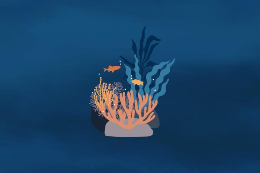 Procreate笔刷-海底世界海洋生物海藻类图案笔刷 笔刷资源 第4张