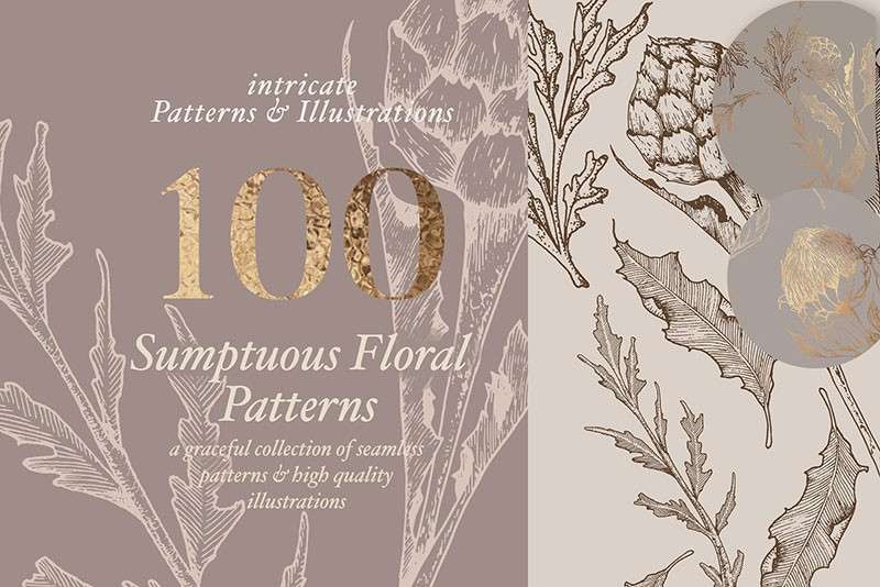 100+优雅的花卉图案和插图素材，AI PNG格式 图片素材 第1张