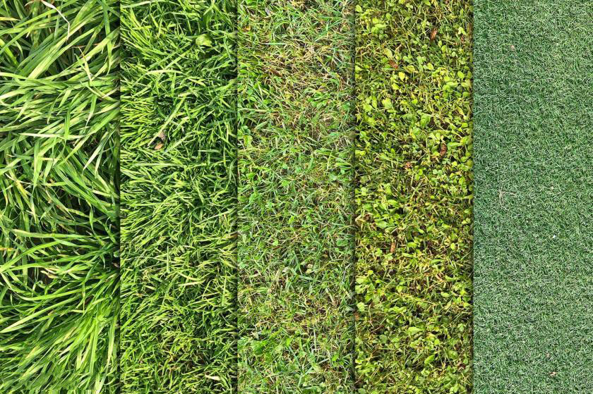 背景素材-绿色草坪草地纹理效果背景图片素材 图片素材 第3张