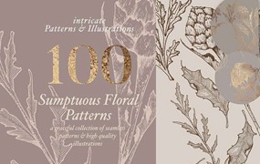 100+优雅的花卉图案和插图素材，AI PNG格式