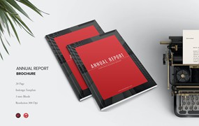 年度报告宣传册杂志模板 Annual Report