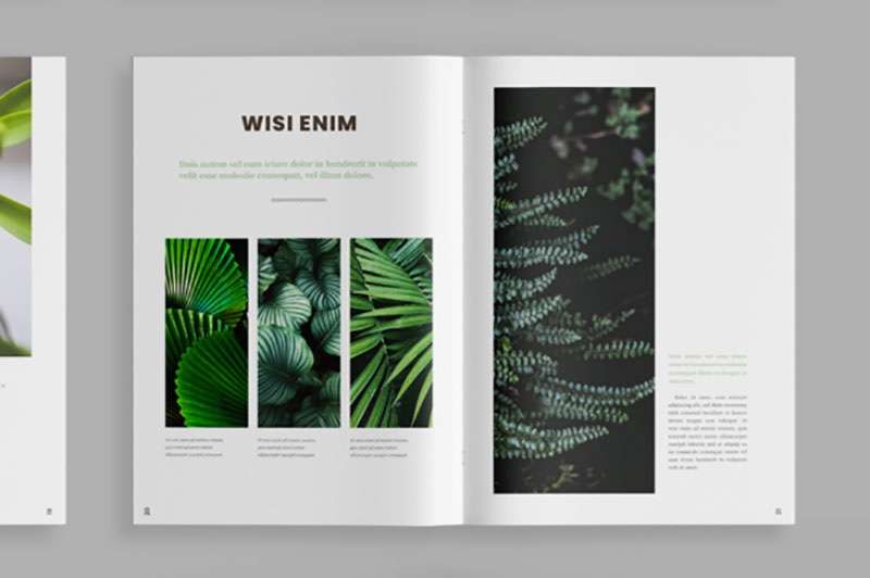 植物类杂志设计模板，INDD源文件 样机素材 第4张