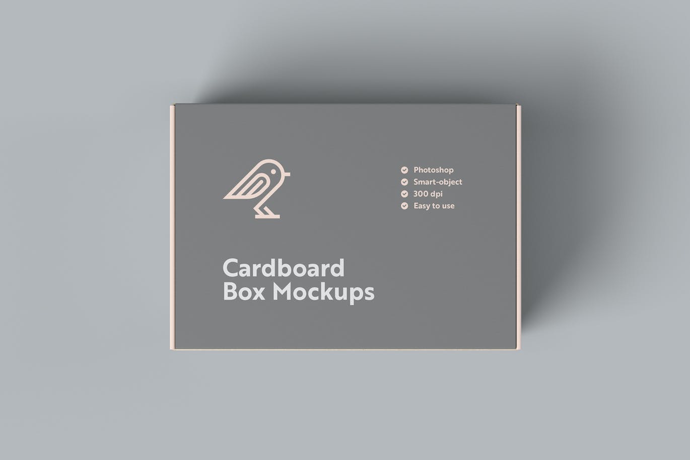 纸板箱包装设计样机模板 Cardboard Box Mockups 样机素材 第5张