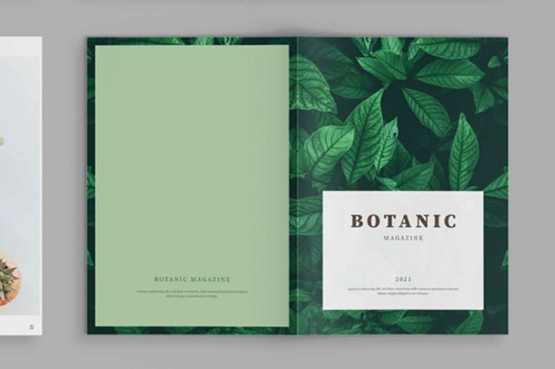 植物类杂志设计模板，INDD源文件 样机素材 第7张