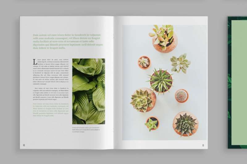 植物类杂志设计模板，INDD源文件 样机素材 第6张