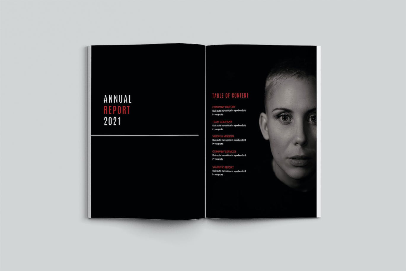 年度报告宣传册杂志模板 Annual Report 设计素材 第8张