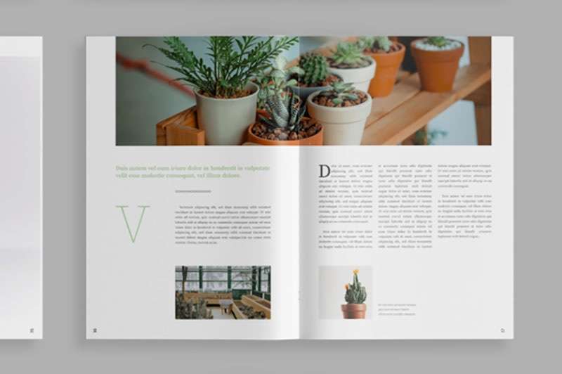 植物类杂志设计模板，INDD源文件 样机素材 第5张