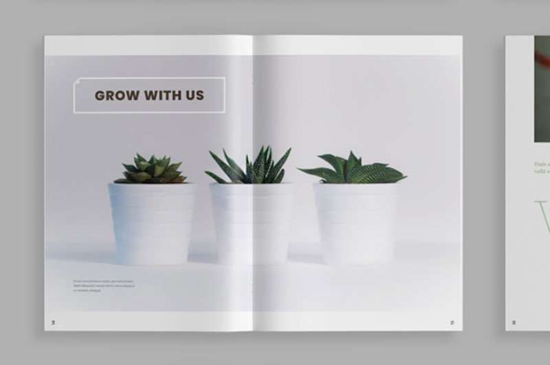 植物类杂志设计模板，INDD源文件 样机素材 第3张